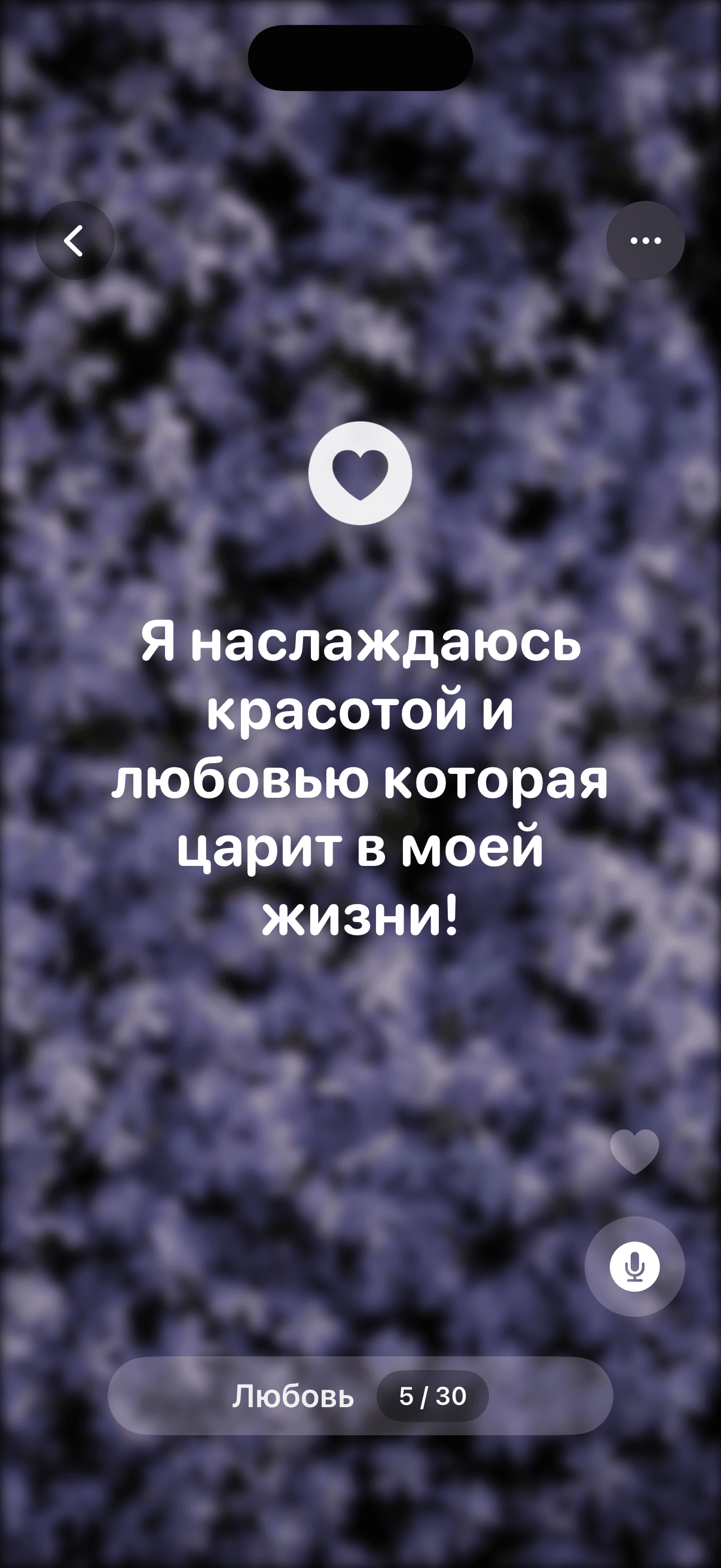 Скриншот Affirmation One 5